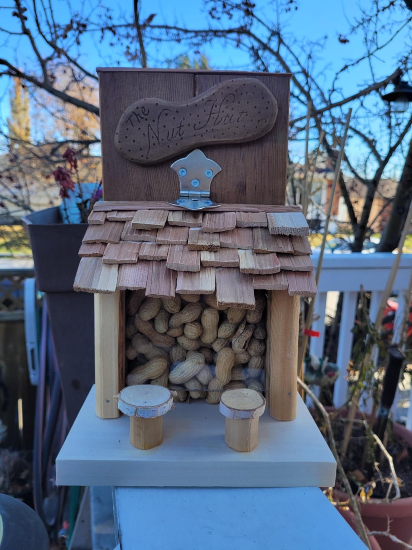 Squirrel Nut Hut
