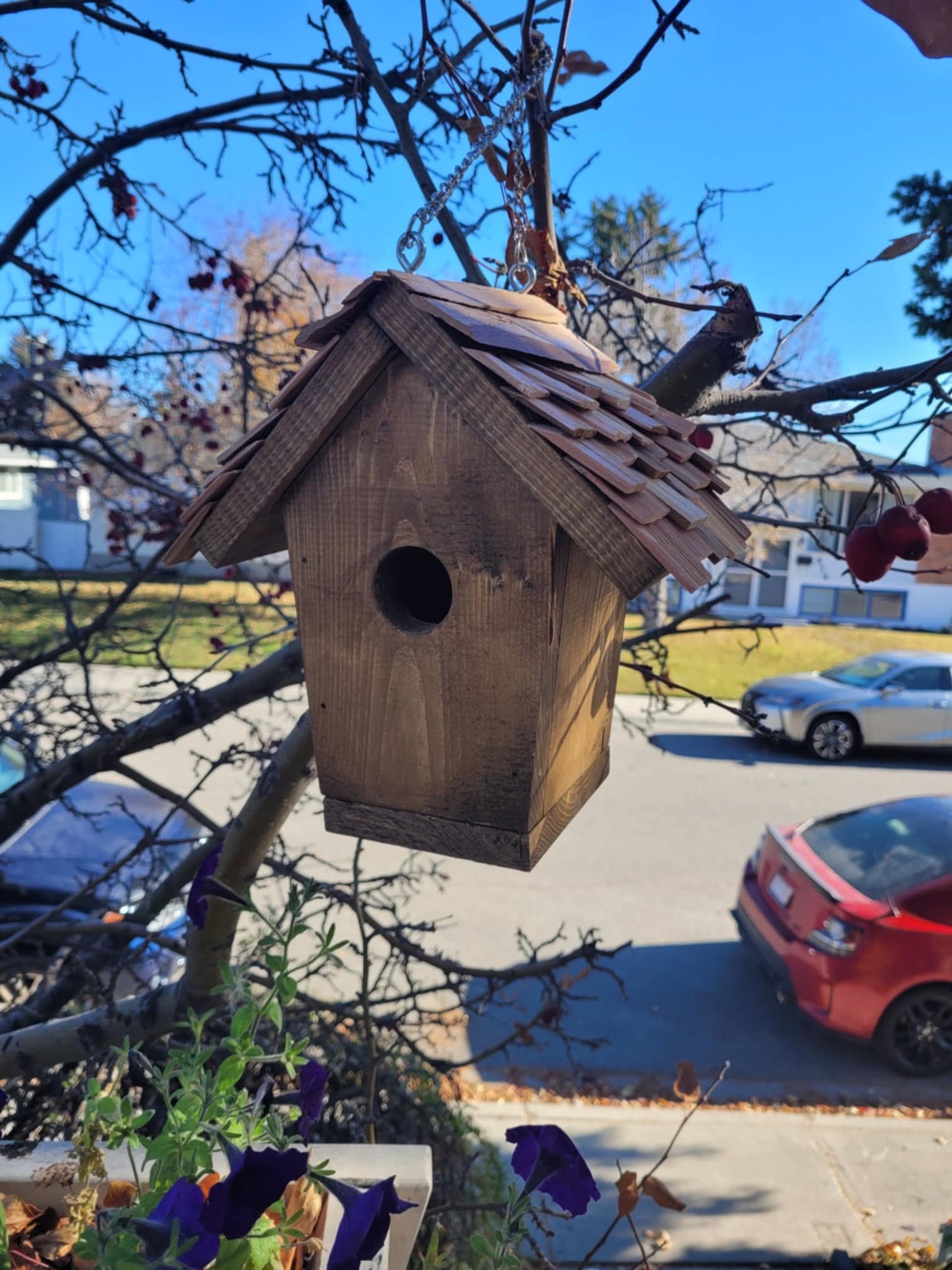 Cedar birdhouse