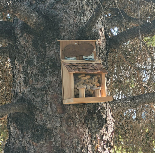 Squirrel Nut Hut